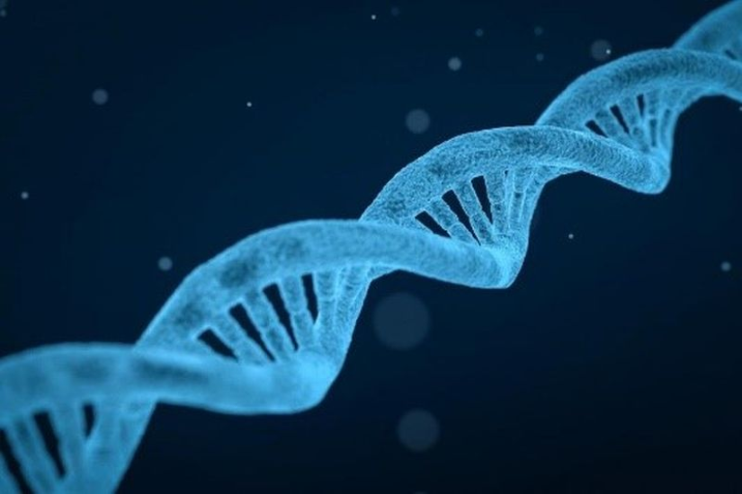 NMN và khả năng sửa chữa ADN